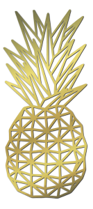 ananas.png